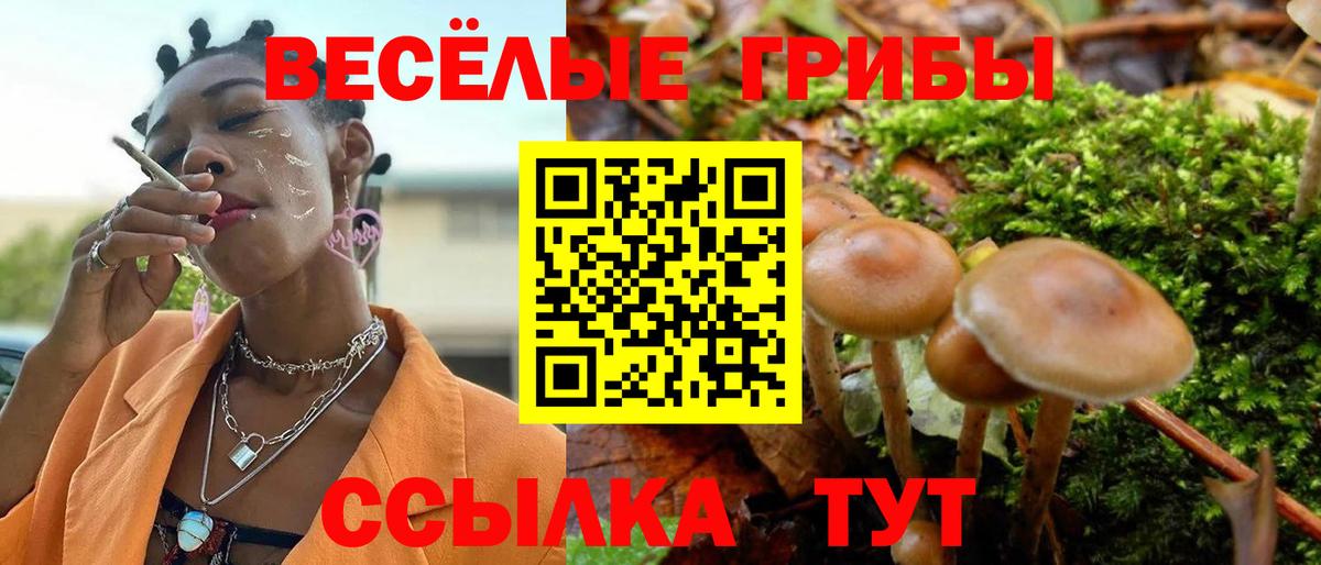 Галлюциногенные грибы GOLDEN TEACHER Заречный